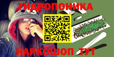 прущие грибы Нягань