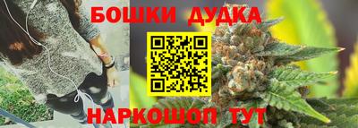 гашик Обнинск