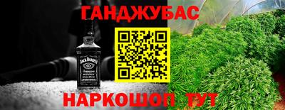 гашик Обнинск