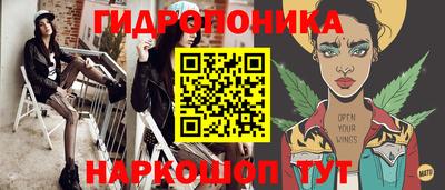 прущие грибы Нягань