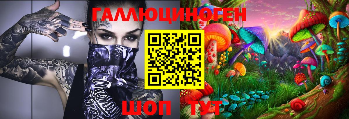 Псилоцибиновые грибы Psilocybe Ульяновск